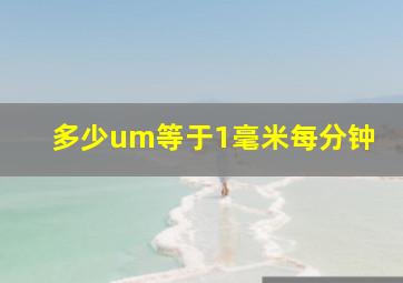 多少um等于1毫米每分钟