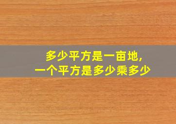 多少平方是一亩地,一个平方是多少乘多少