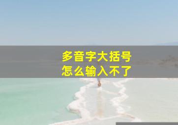 多音字大括号怎么输入不了