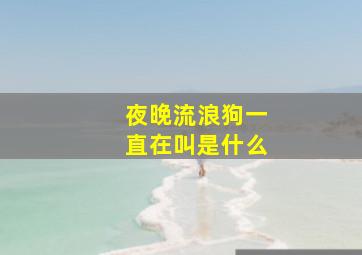 夜晚流浪狗一直在叫是什么