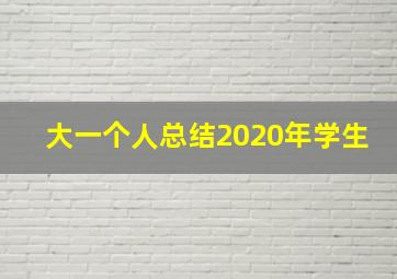 大一个人总结2020年学生