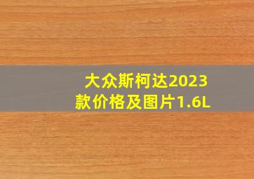 大众斯柯达2023款价格及图片1.6L