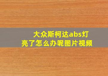 大众斯柯达abs灯亮了怎么办呢图片视频