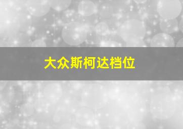 大众斯柯达档位