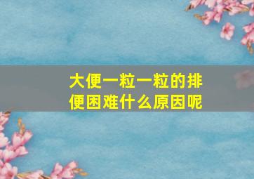 大便一粒一粒的排便困难什么原因呢