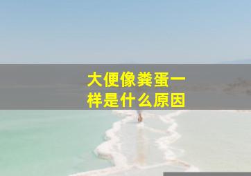 大便像粪蛋一样是什么原因