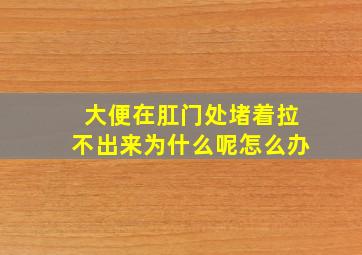 大便在肛门处堵着拉不出来为什么呢怎么办