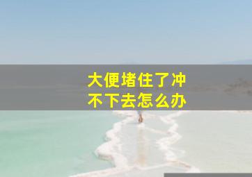 大便堵住了冲不下去怎么办