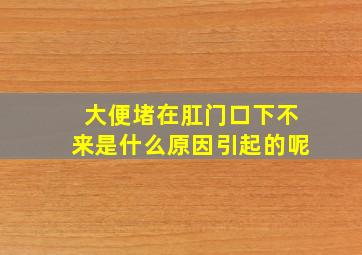 大便堵在肛门口下不来是什么原因引起的呢