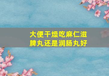 大便干燥吃麻仁滋脾丸还是润肠丸好