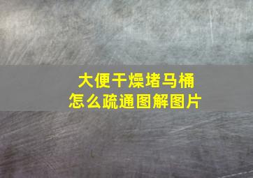 大便干燥堵马桶怎么疏通图解图片