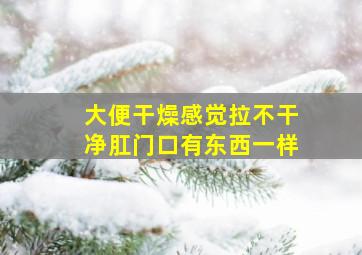 大便干燥感觉拉不干净肛门口有东西一样