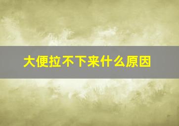 大便拉不下来什么原因