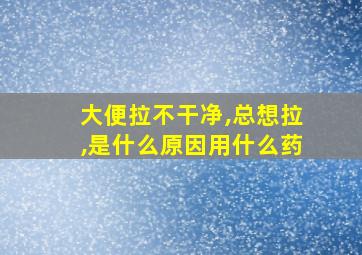 大便拉不干净,总想拉,是什么原因用什么药