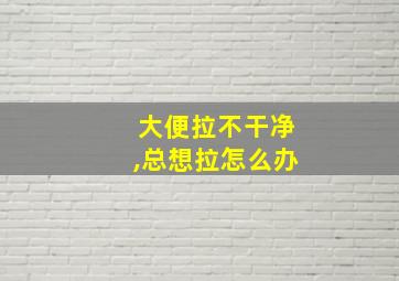 大便拉不干净,总想拉怎么办