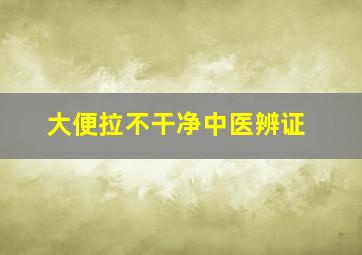 大便拉不干净中医辨证