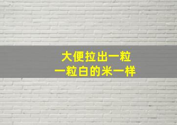 大便拉出一粒一粒白的米一样