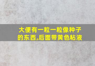 大便有一粒一粒像种子的东西,后面带黄色粘液