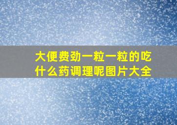 大便费劲一粒一粒的吃什么药调理呢图片大全