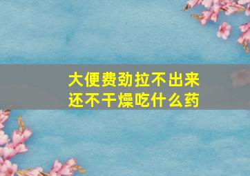 大便费劲拉不出来还不干燥吃什么药