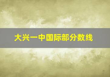 大兴一中国际部分数线