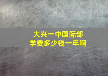 大兴一中国际部学费多少钱一年啊