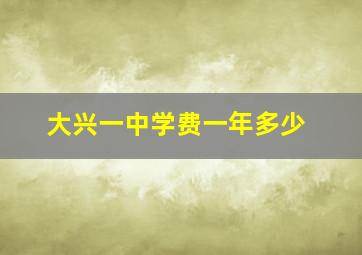 大兴一中学费一年多少