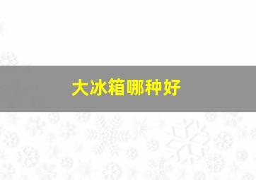 大冰箱哪种好