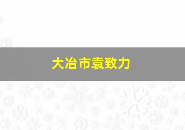 大冶市袁致力