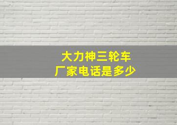 大力神三轮车厂家电话是多少