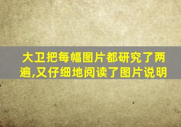 大卫把每幅图片都研究了两遍,又仔细地阅读了图片说明