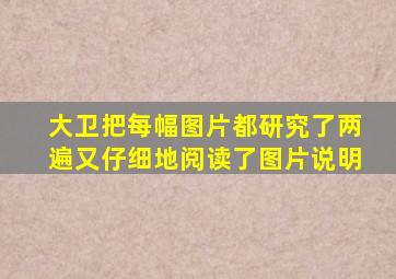 大卫把每幅图片都研究了两遍又仔细地阅读了图片说明