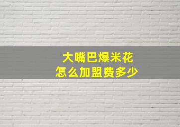 大嘴巴爆米花怎么加盟费多少