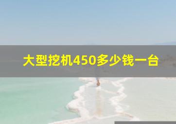 大型挖机450多少钱一台