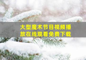 大型魔术节目视频播放在线观看免费下载