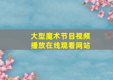 大型魔术节目视频播放在线观看网站