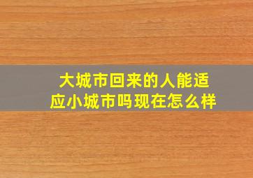 大城市回来的人能适应小城市吗现在怎么样