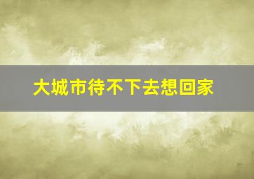 大城市待不下去想回家