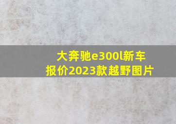 大奔驰e300l新车报价2023款越野图片