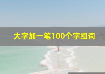 大字加一笔100个字组词