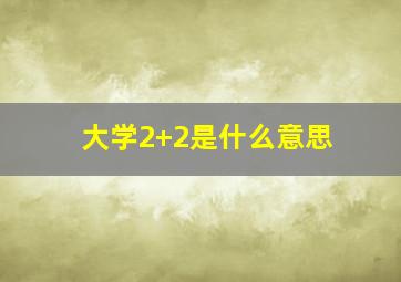 大学2+2是什么意思