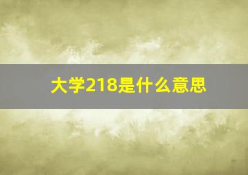 大学218是什么意思