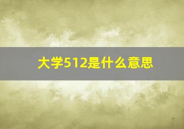 大学512是什么意思