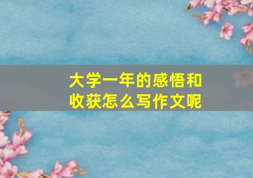 大学一年的感悟和收获怎么写作文呢