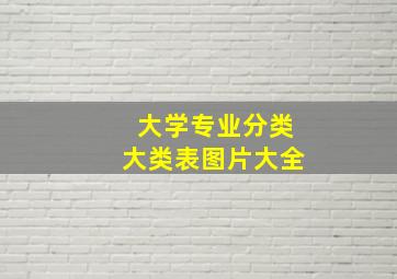 大学专业分类大类表图片大全