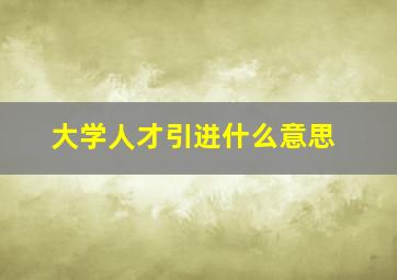 大学人才引进什么意思