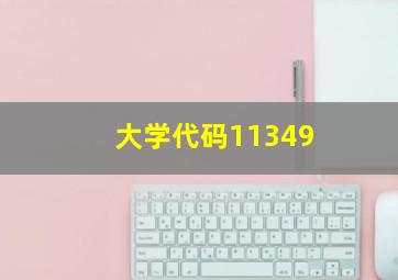 大学代码11349