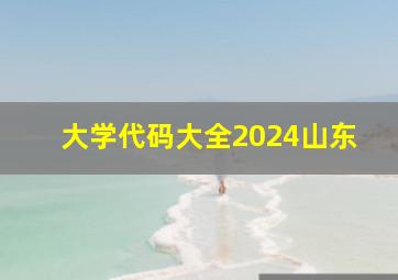 大学代码大全2024山东