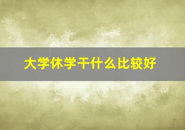 大学休学干什么比较好