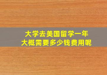 大学去美国留学一年大概需要多少钱费用呢